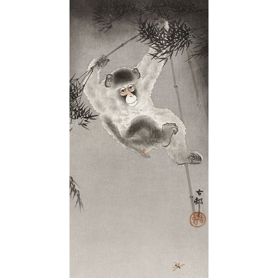 Monkey hanging from bamboo branch by Ohara Koson-VARPDX54976 Image 1