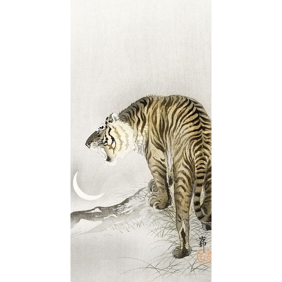 Roaring tiger by Ohara Koson-VARPDX54975 Image 1