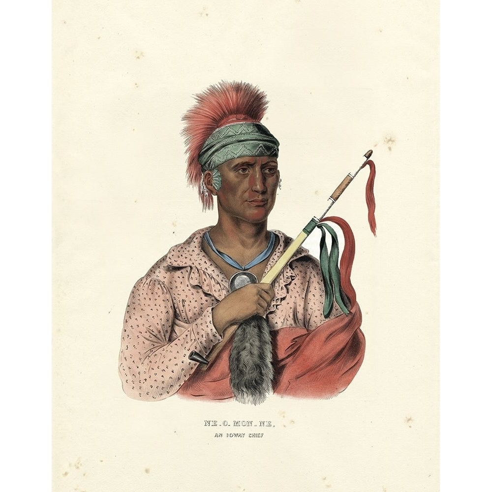 An Ioway Chief Poster Print - and Hall McKenney-VARPDX55014Z Image 1