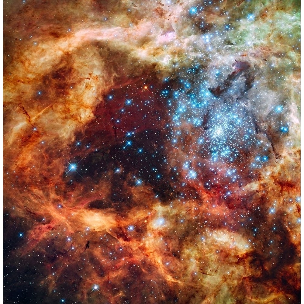 Hubbles view of a grand star forming region by NASA-VARPDX55024 Image 1