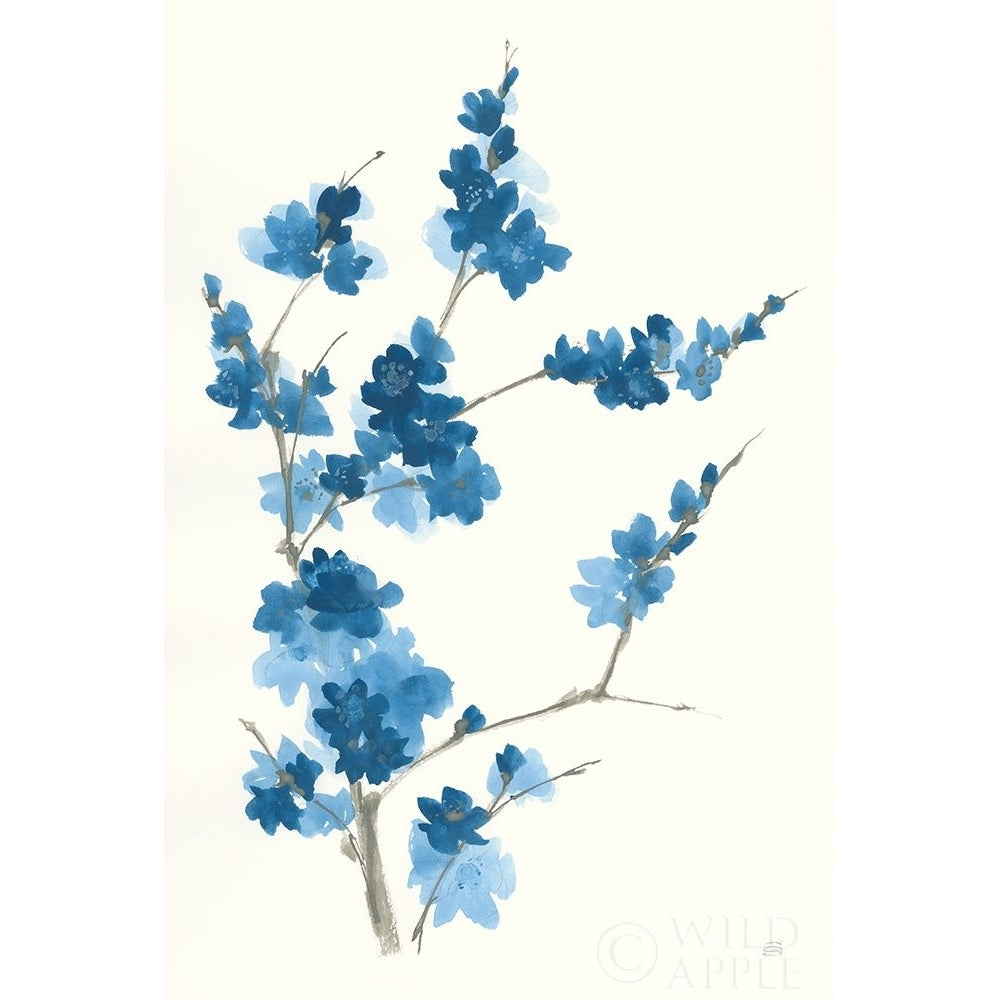 Blue Branch I Poster Print by Chris Paschke-VARPDX55059 Image 1