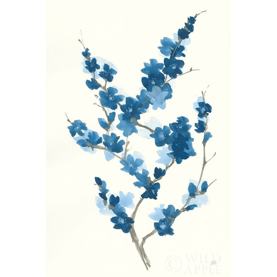 Blue Branch II Poster Print by Chris Paschke-VARPDX55060 Image 1