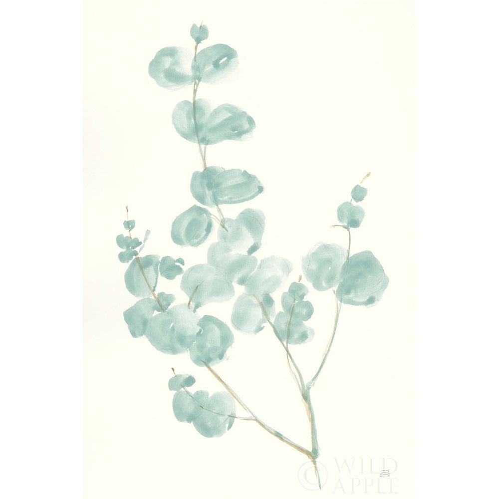 Eucalyptus Branch I Poster Print by Chris Paschke-VARPDX55063 Image 1