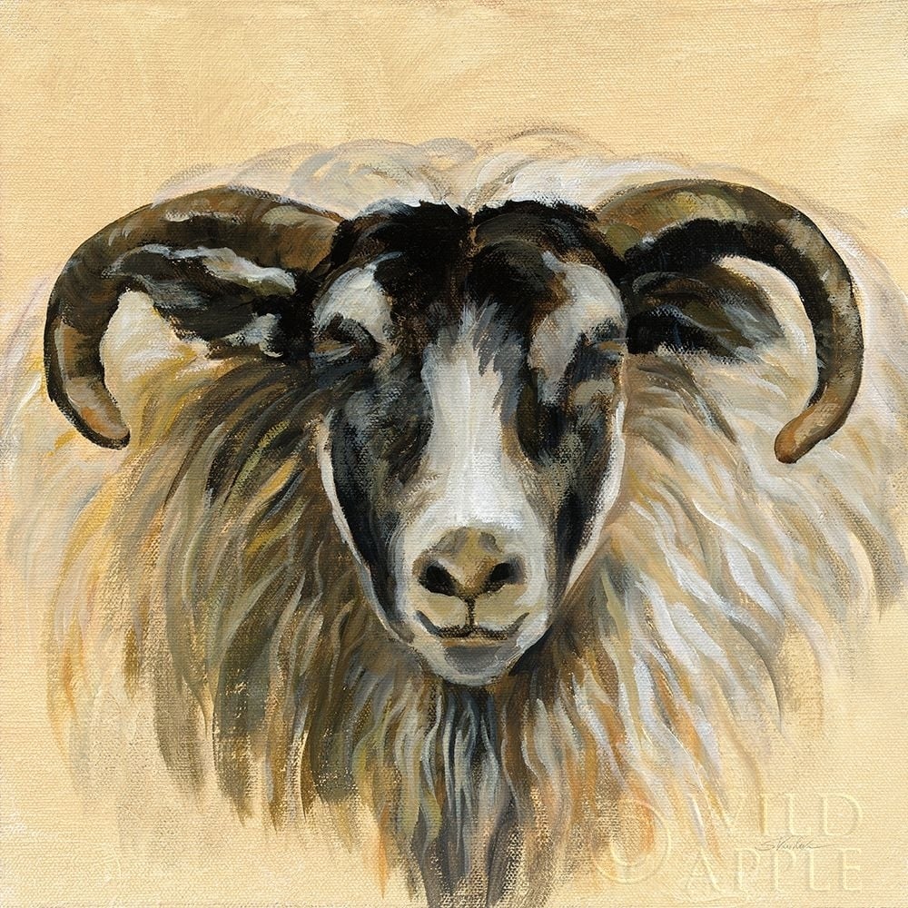 Highland Animal Ram Poster Print by Silvia Vassileva-VARPDX55085 Image 1