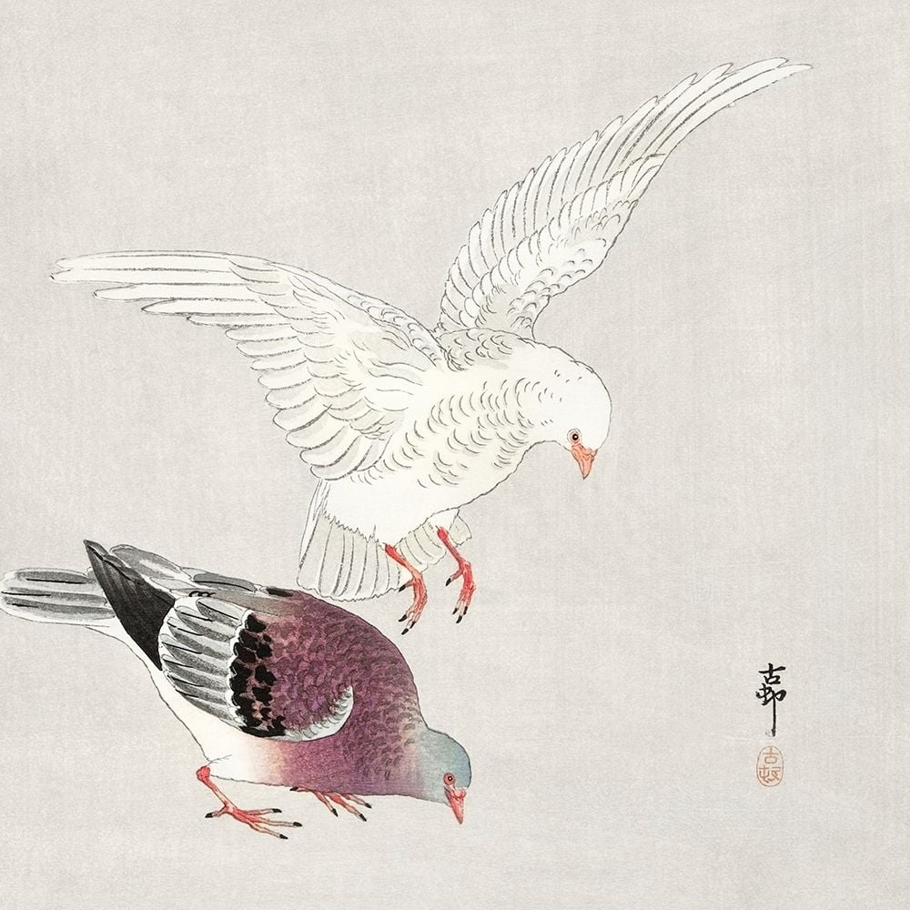 Two pigeons Poster Print by Ohara Koson-VARPDX55130 Image 1