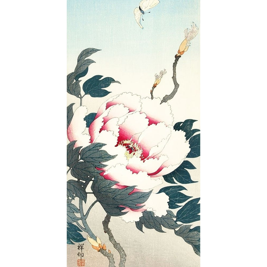 Peony with butterfly by Ohara Koson-VARPDX55131 Image 1