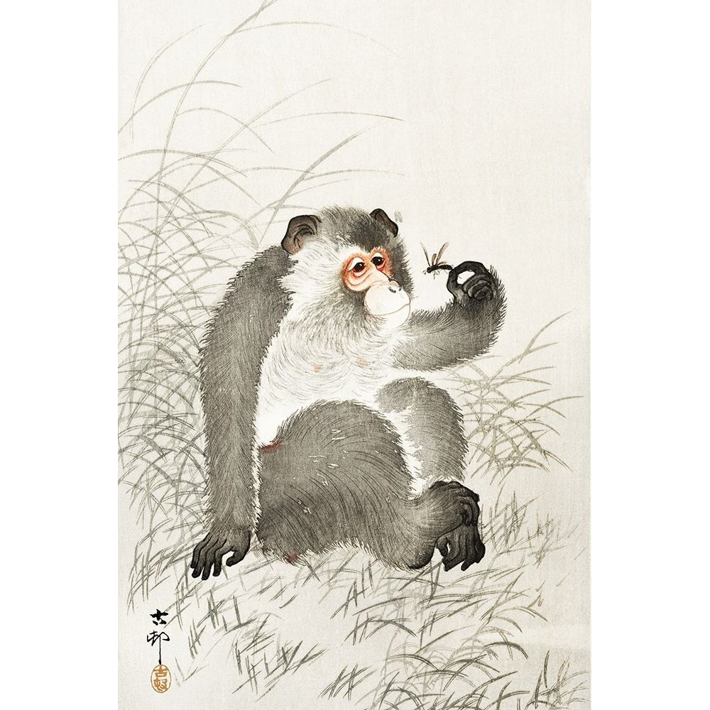 Monkey with insect Poster Print by Ohara Koson-VARPDX55134 Image 1