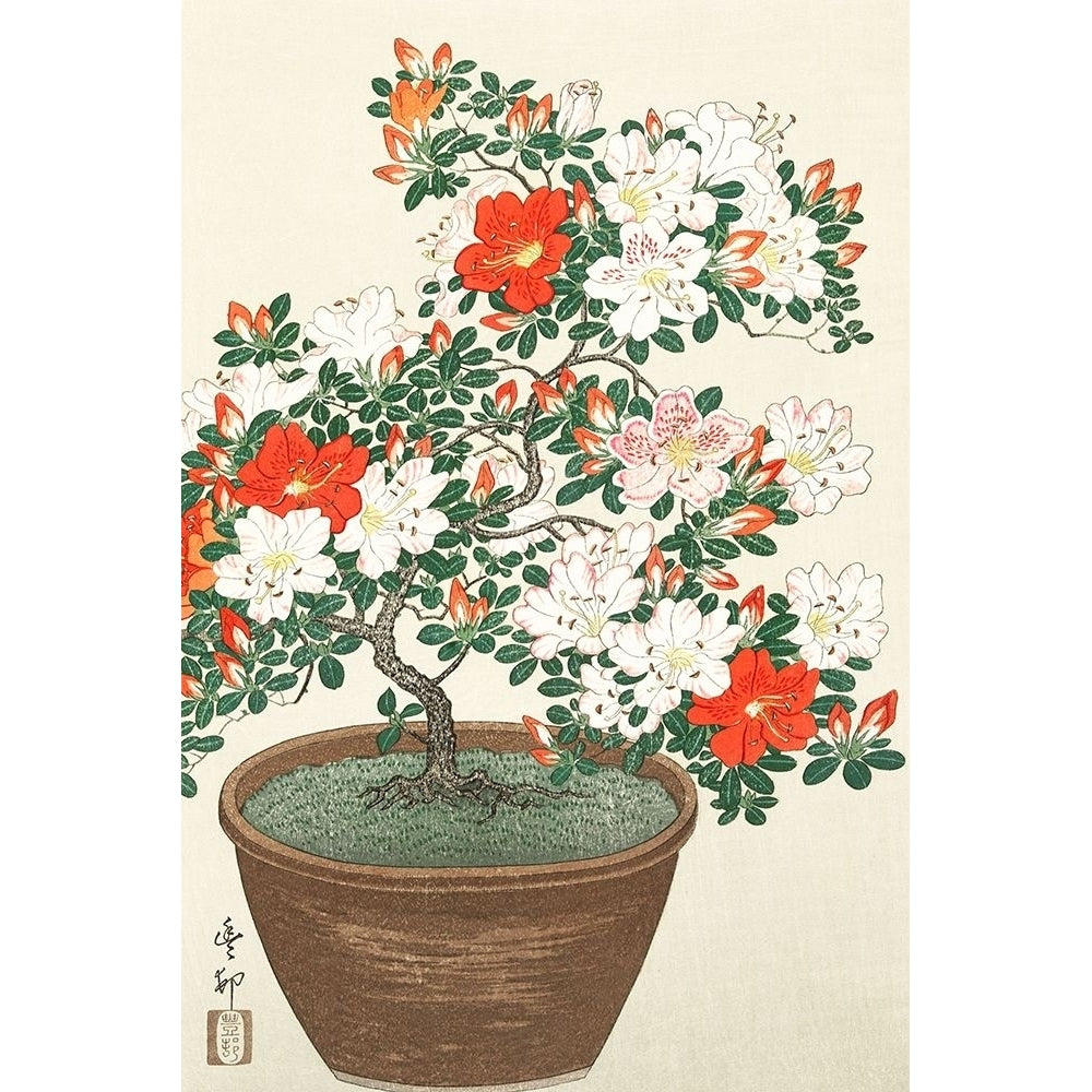 Blooming azalea in brown pot Poster Print by Ohara Koson-VARPDX55143 Image 1