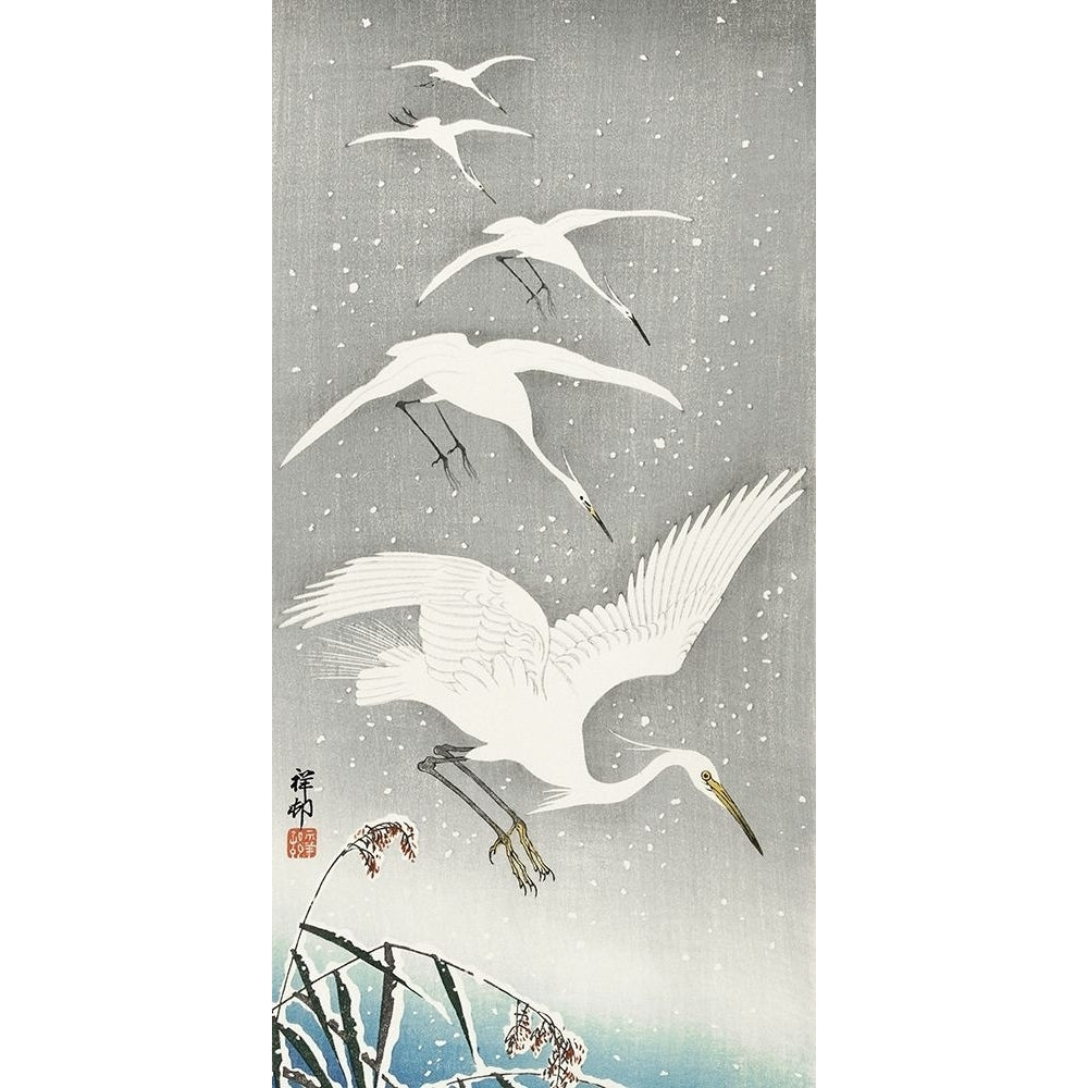 Descending egrets in snow by Ohara Koson-VARPDX55137 Image 1