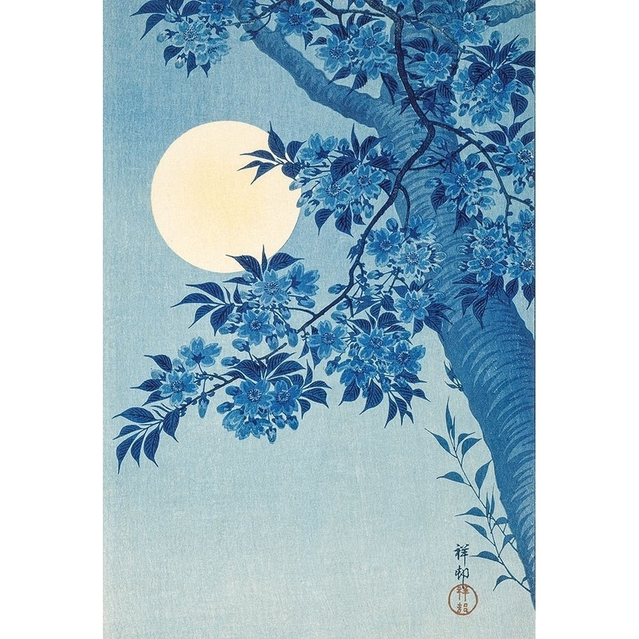 Blossoming Cherry on a Moonlit Night Poster Print by Ohara Koson-VARPDX55149 Image 1