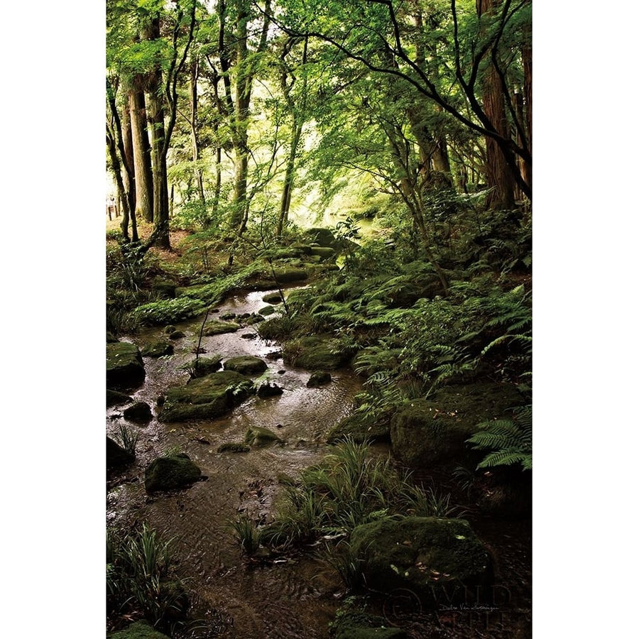 Lush Creek in Forest Poster Print by Debra Van Swearingen-VARPDX55152 Image 1