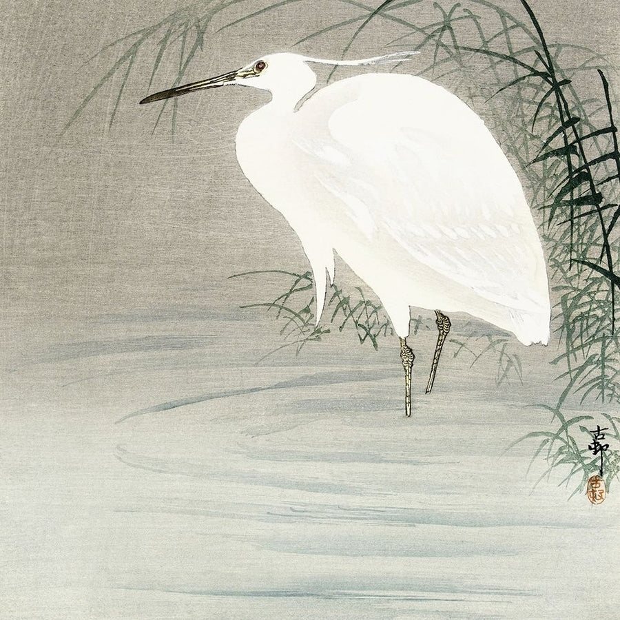 Little egret Poster Print by Ohara Koson-VARPDX55206 Image 1