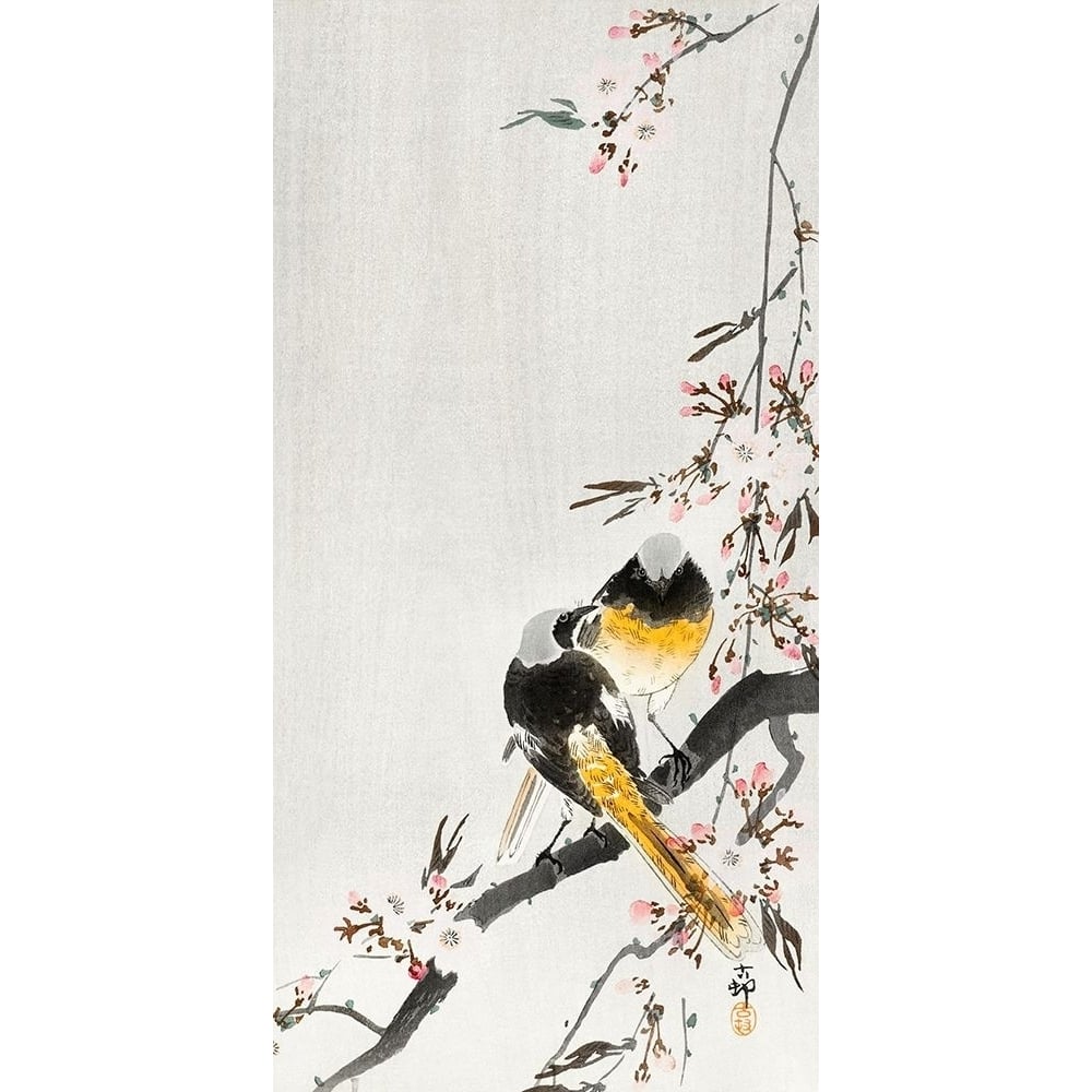 Two sable red tails with cherry blossom by Ohara Koson-VARPDX55208 Image 1