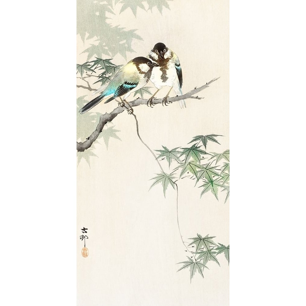 Great on maple branch by Ohara Koson-VARPDX55214 Image 1