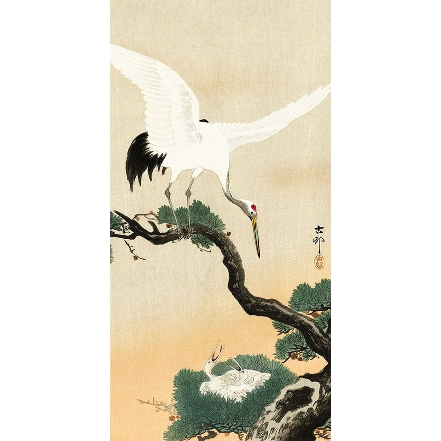 Japanese crane bird on branch of pine by Ohara Koson-VARPDX55220 Image 1