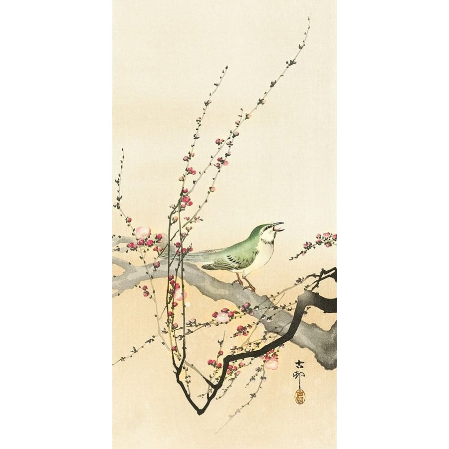 Songbird and plum blossom by Ohara Koson-VARPDX55228 Image 1