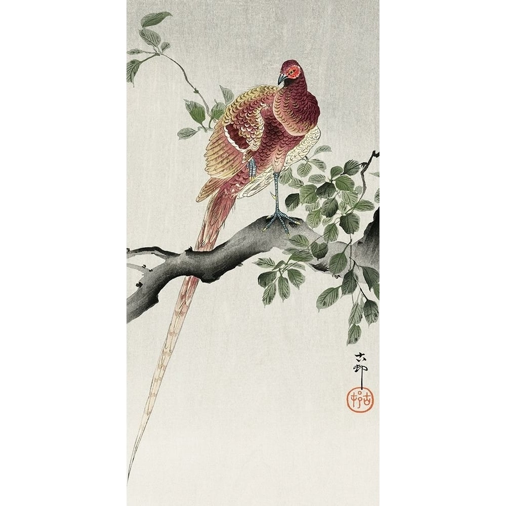 Copper pheasant by Ohara Koson-VARPDX55216 Image 1