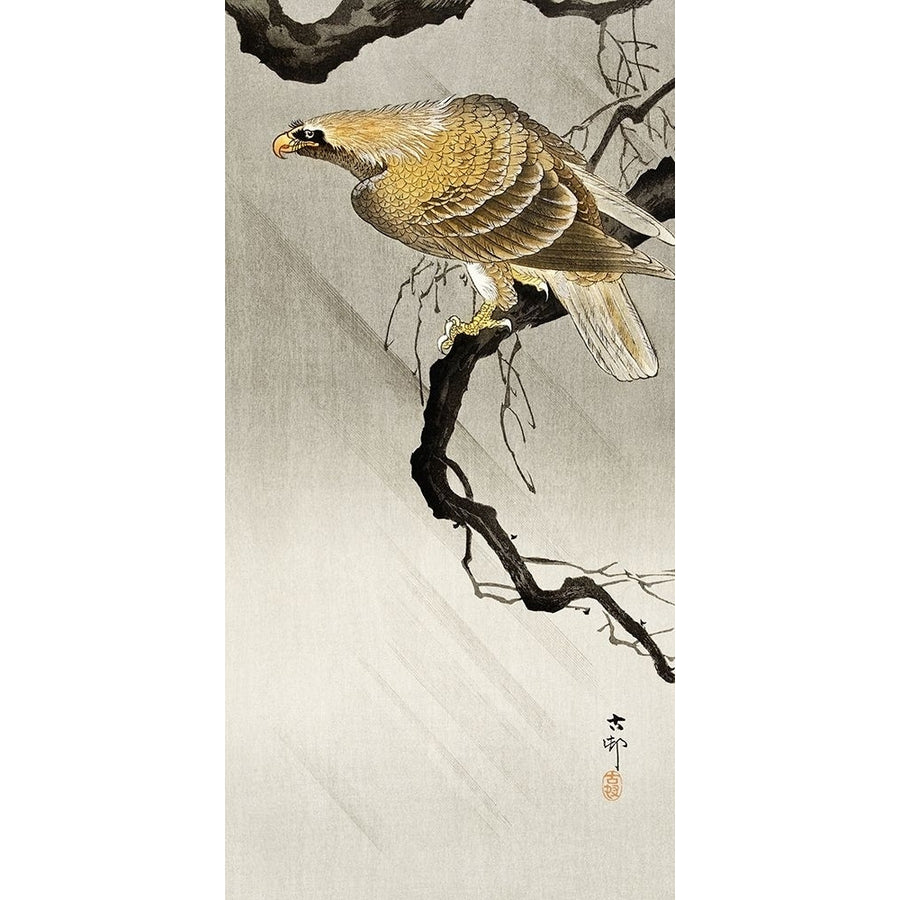 Eagle on branch by Ohara Koson-VARPDX55223 Image 1