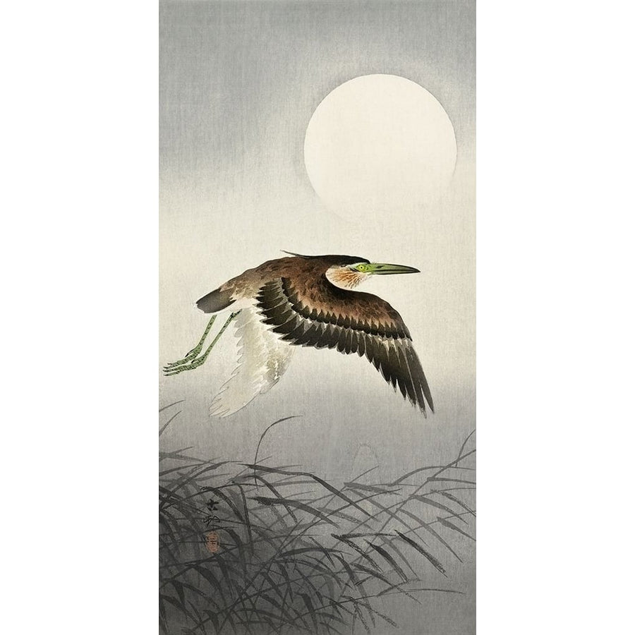 Heron at full moon by Ohara Koson-VARPDX55253 Image 1