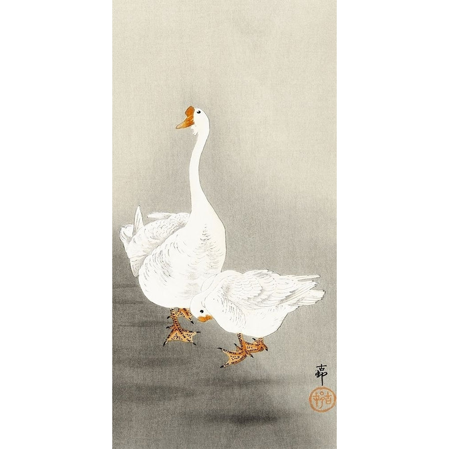 Two geese by Ohara Koson-VARPDX55266 Image 1