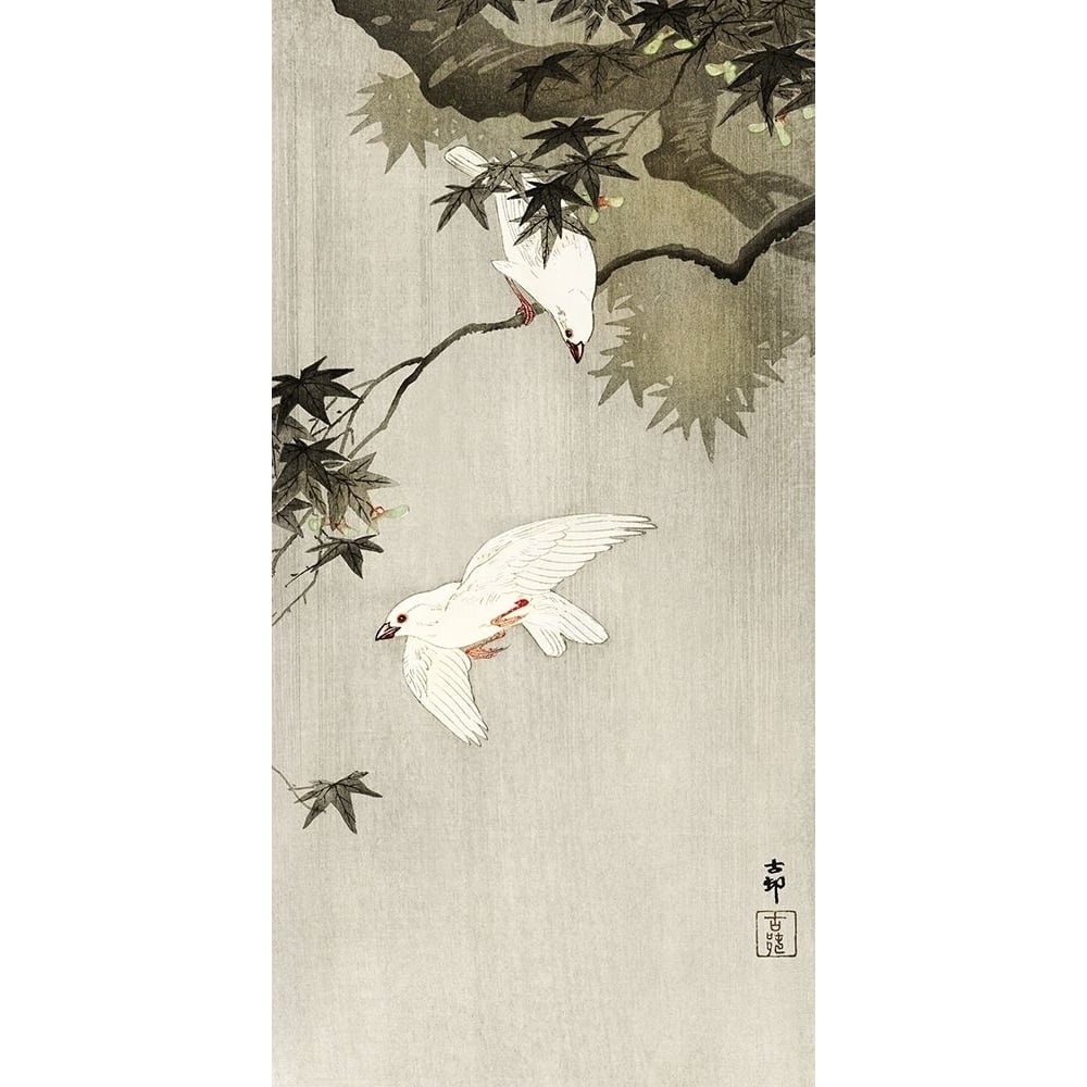 Birds in rain by Ohara Koson-VARPDX55275 Image 1