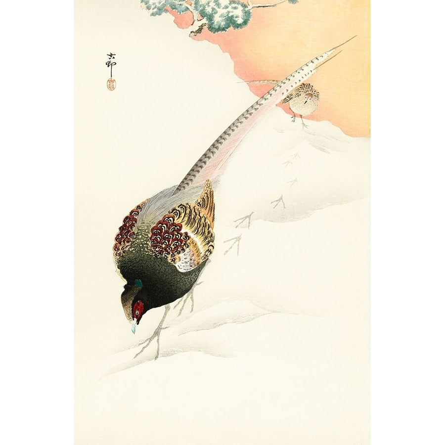 Pheasant couple in the snow Poster Print by Ohara Koson-VARPDX55283 Image 1