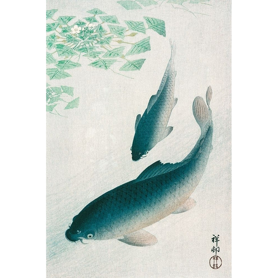 Carp or Koi?_ Poster Print by Ohara Koson-VARPDX55287 Image 1