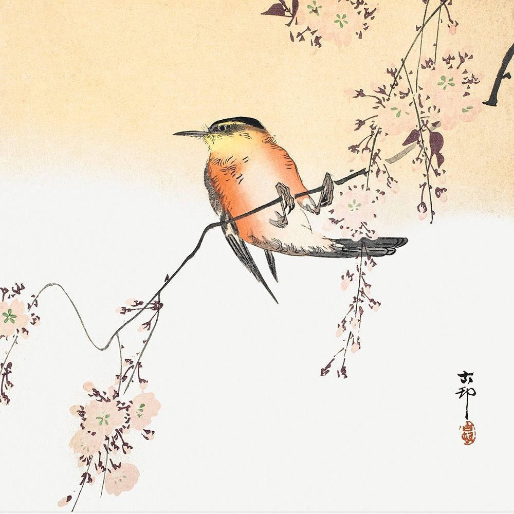 Songbird and Blossoming Cherry Poster Print by Ohara Koson-VARPDX55351 Image 1