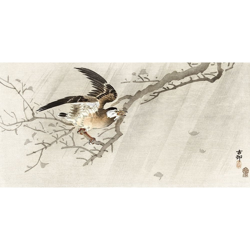 Gray starling in storm by Ohara Koson-VARPDX55347 Image 1