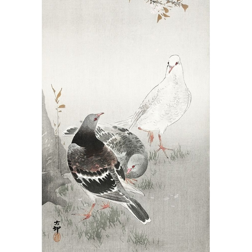 Three pigeons Poster Print by Ohara Koson-VARPDX55348 Image 1