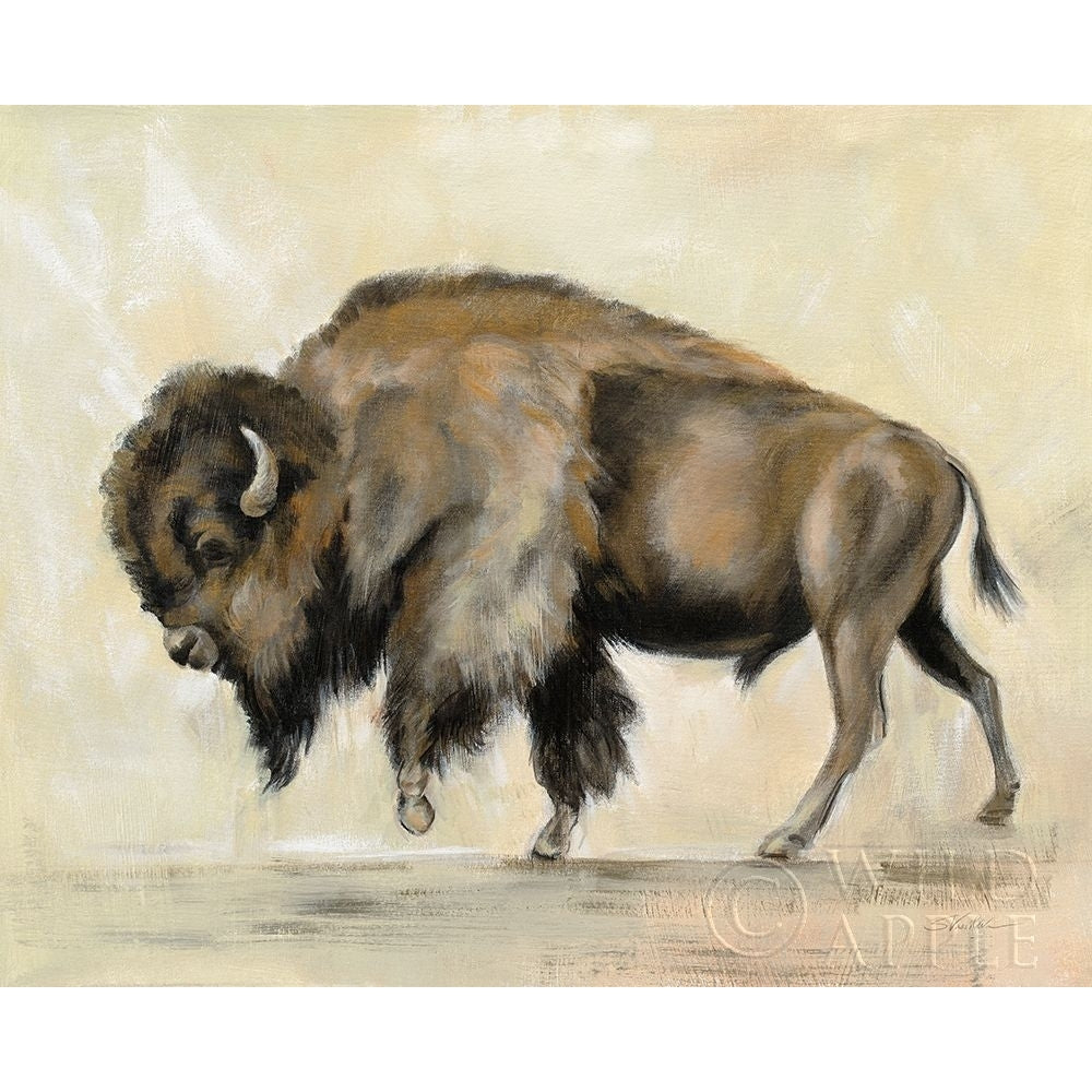 Bronze Buffalo Poster Print by Silvia Vassileva-VARPDX55655 Image 1