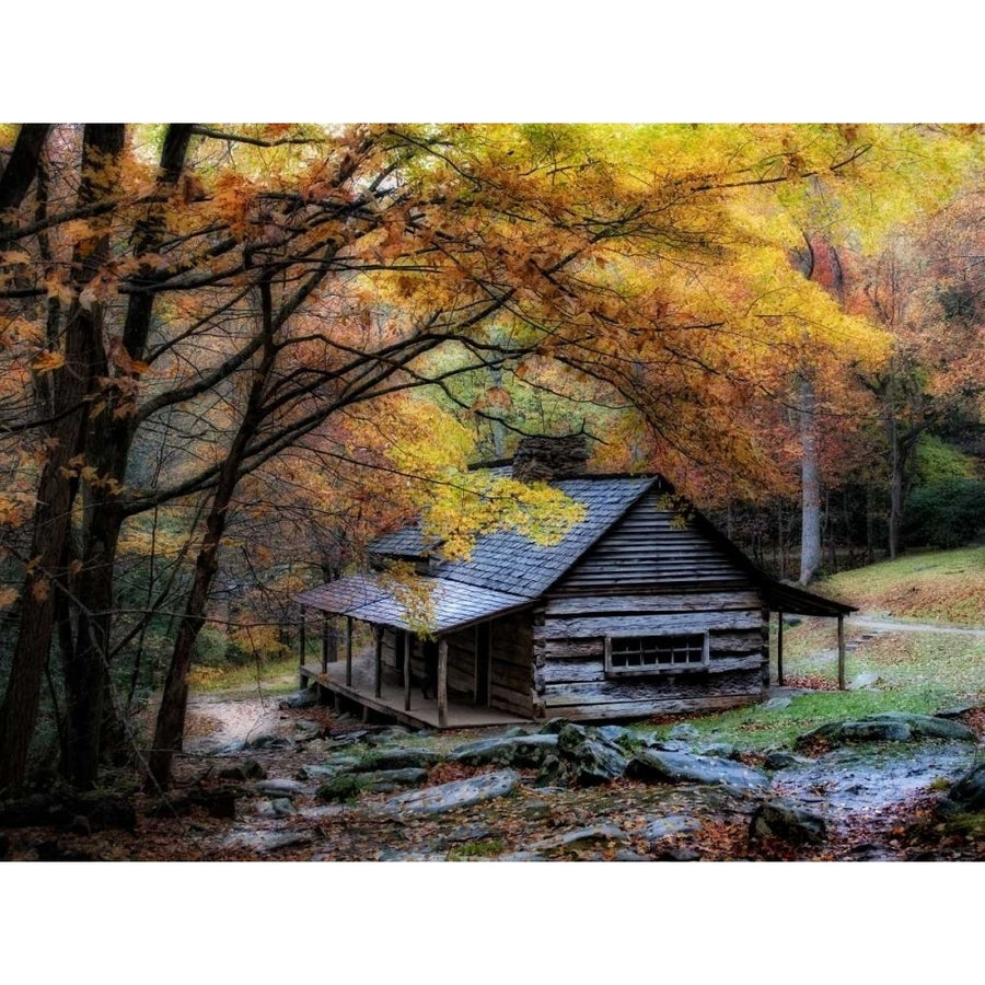 Damp Autumn Day Poster Print - Danny Head-VARPDX55677Z Image 1