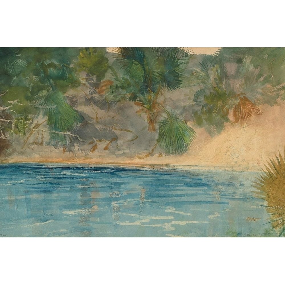 Blue Spring Florida Poster Print by Winslow Homer-VARPDX55679 Image 1