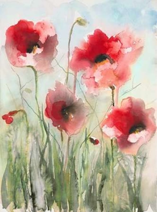 Field Poppies 2 Poster Print by Karin Johannesson-VARPDX556JOH1004 Image 1