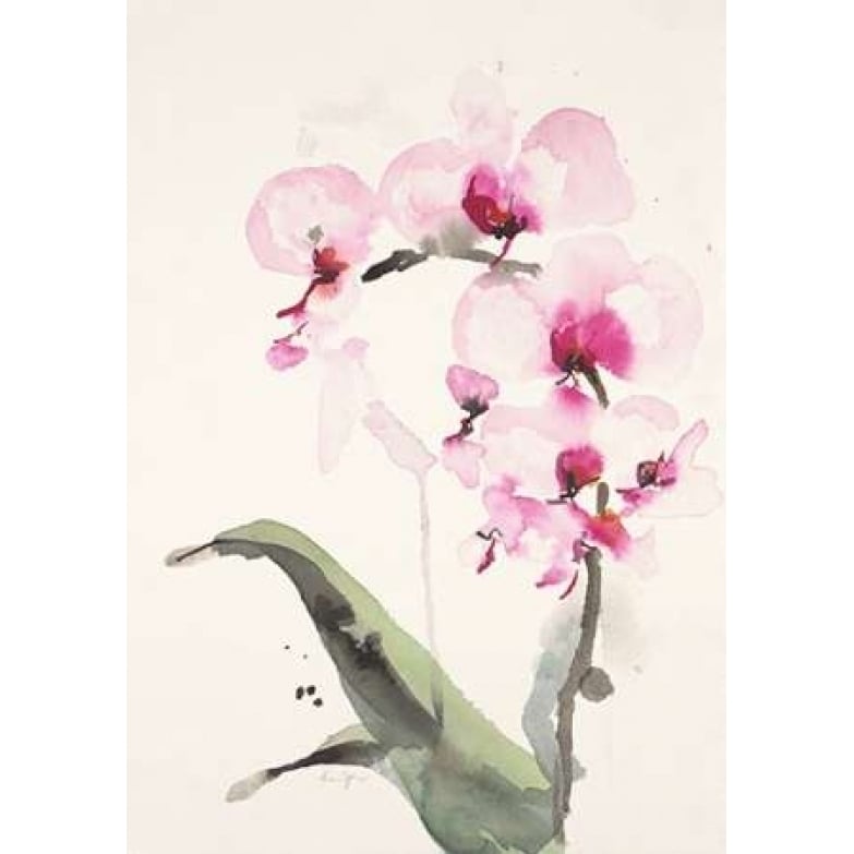 Morning Orchid Poster Print by Karen Johannesson-VARPDX556JOH1007 Image 2