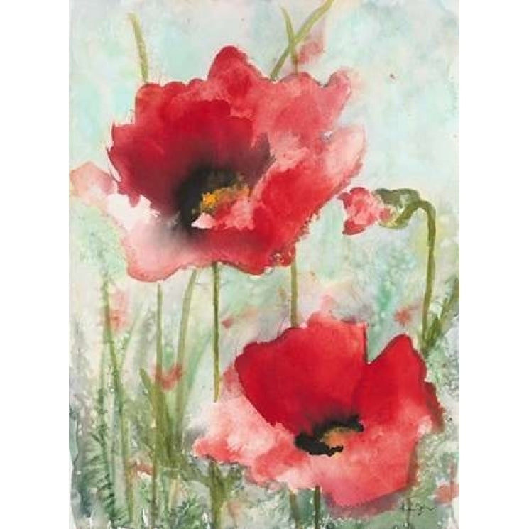 Field Poppies 1 Poster Print by Karin Johannesson-VARPDX556JOH1003 Image 2