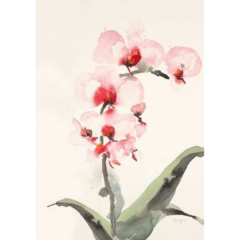 Morning Orchid 2 Poster Print by Karen Johannesson-VARPDX556JOH1007A Image 1