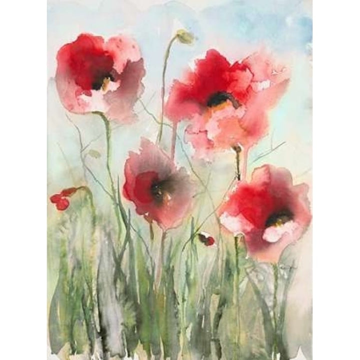 Field Poppies 2 Poster Print by Karin Johannesson-VARPDX556JOH1004 Image 2