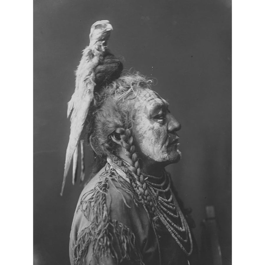 Two Whistles Apsaroke Poster Print by Edward Curtis-VARPDX55720 Image 1