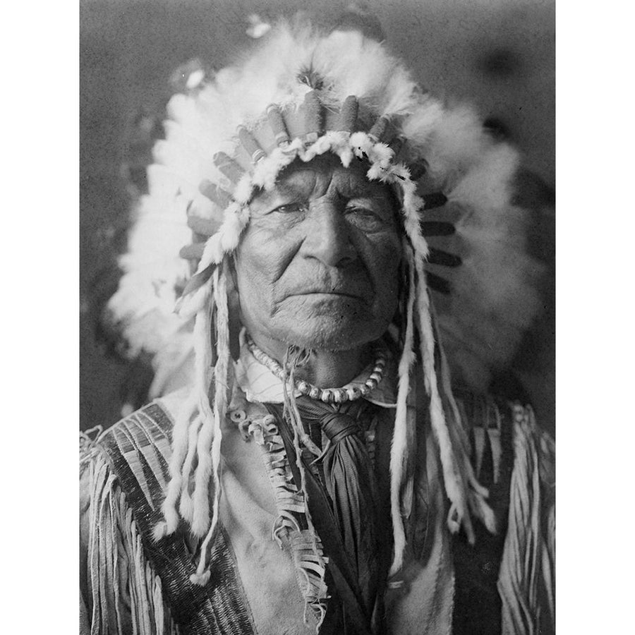 Sitting Bear Arikara Poster Print by Edward Curtis-VARPDX55726 Image 1