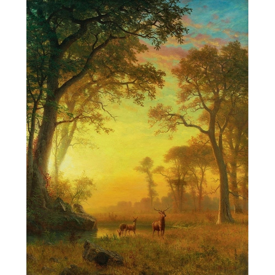 Light in the Forest Poster Print by Albert Bierstadt-VARPDX55858 Image 1