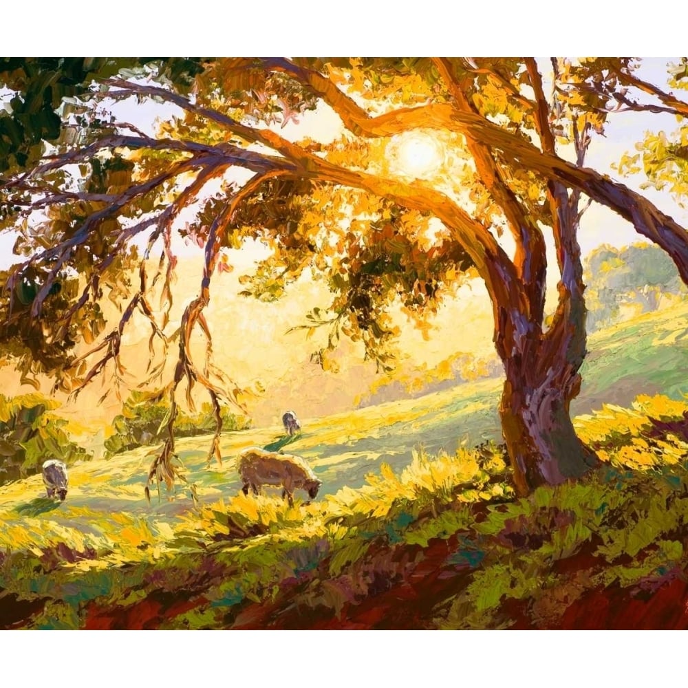 Restful Radiance Poster Print - Erin Dertner-VARPDX55861Z Image 1