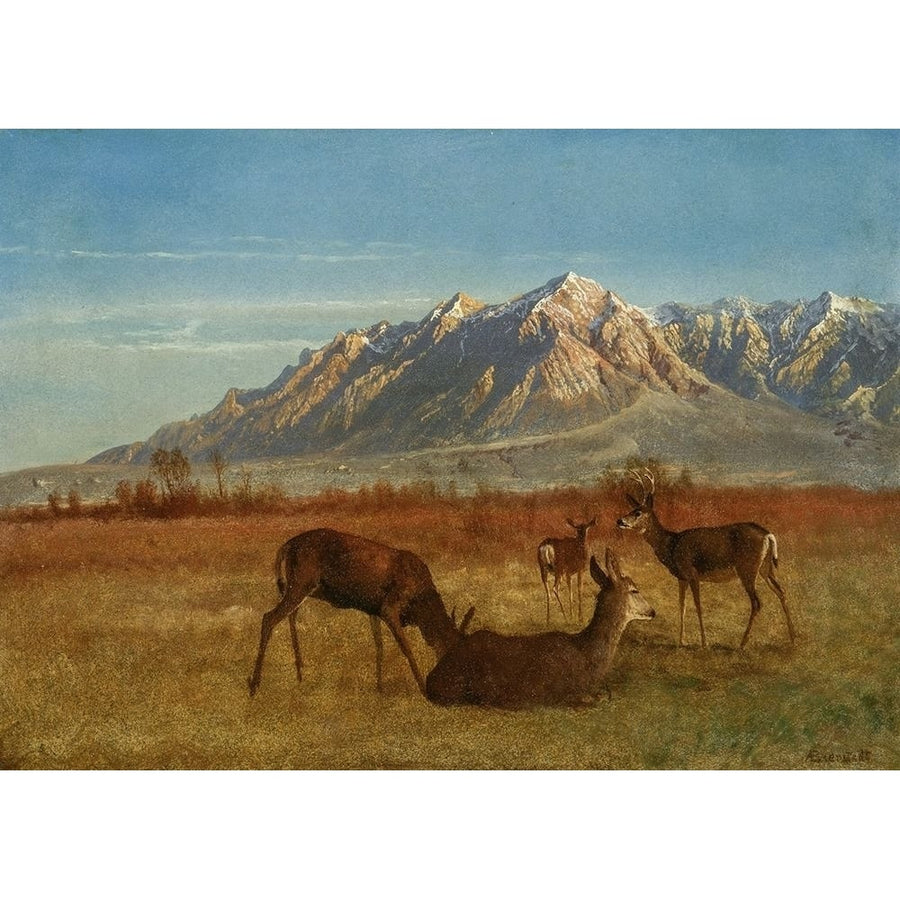 Deer in Mountain Home Poster Print by Albert Bierstadt-VARPDX55869 Image 1