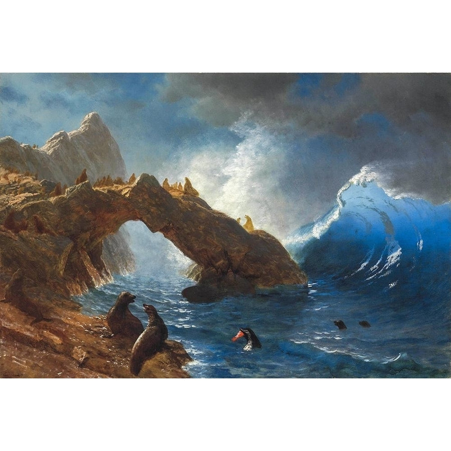 Seals on the Rocks Poster Print by Albert Bierstadt-VARPDX55893 Image 1