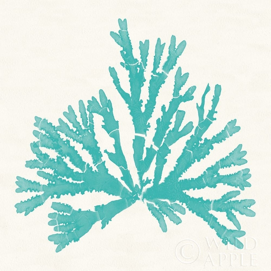 Pacific Sea Mosses IV Aqua Poster Print by Wild Apple Portfolio Wild Apple Portfolio-VARPDX55911 Image 1