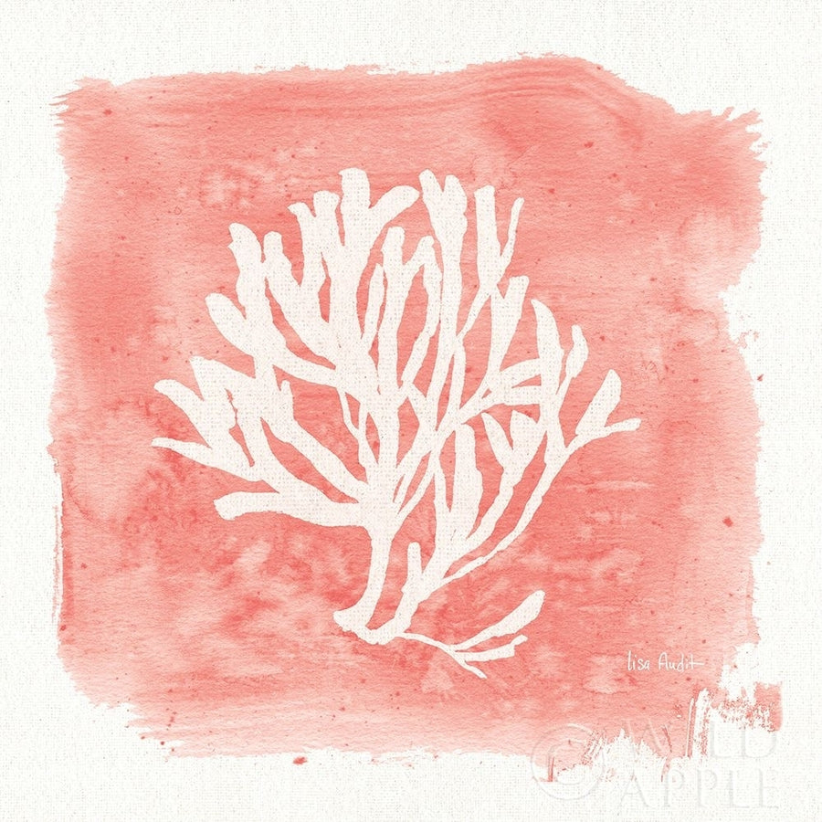 Water Coral Cove III Poster Print by Lisa Audit-VARPDX55931 Image 1