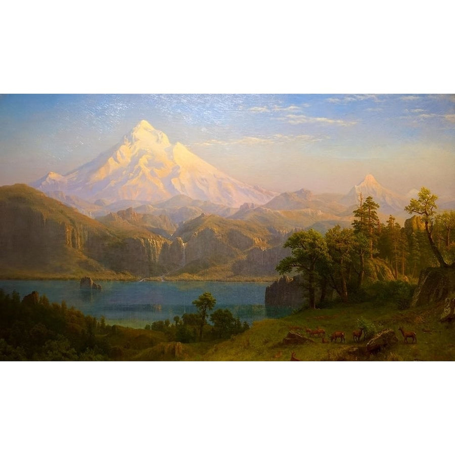 Mount Hood Poster Print by Albert Bierstadt-VARPDX55977 Image 1