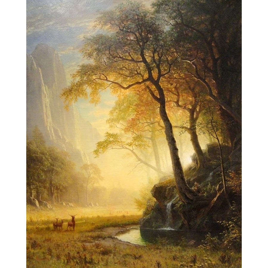 Hetch Hetchy Canyon Poster Print by Albert Bierstadt-VARPDX55971 Image 1