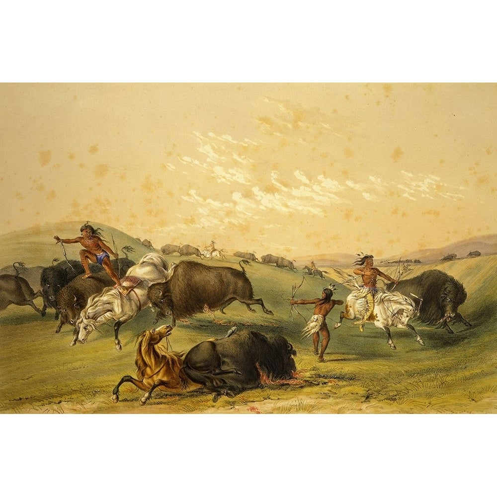 Buffalo Hunt A Numerous Group Poster Print by George Catlin-VARPDX56043 Image 1