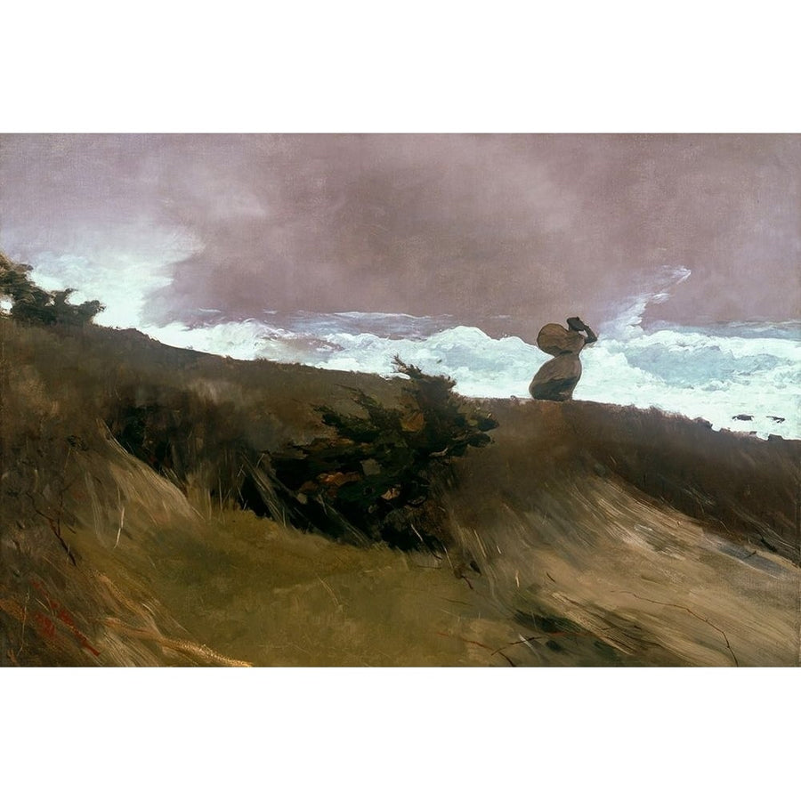 The West Wind Poster Print by Winslow Homer-VARPDX56149 Image 1